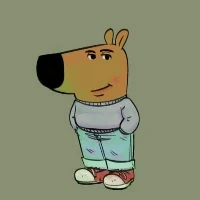 Chill Guy Coin (CHILLGUY) logo